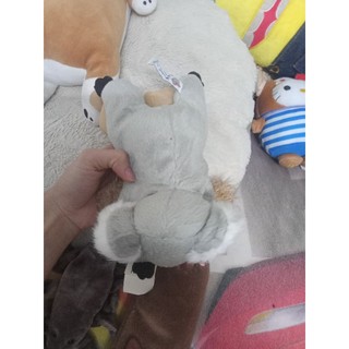Gấu bông dạng hạt size 10-20cm