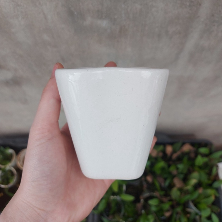 Chậu trồng cây: chậu vuông loe