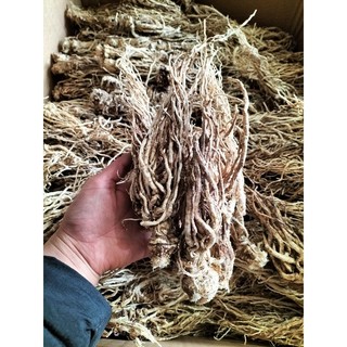 sâm đương quy khô 1kg