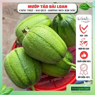Gói lẻ 10 Hạt giống mướp táo Know you Đài Loan chịu nhiệt tốt, sai quả, dễ trồng, ăn ngọt và không bị nâu