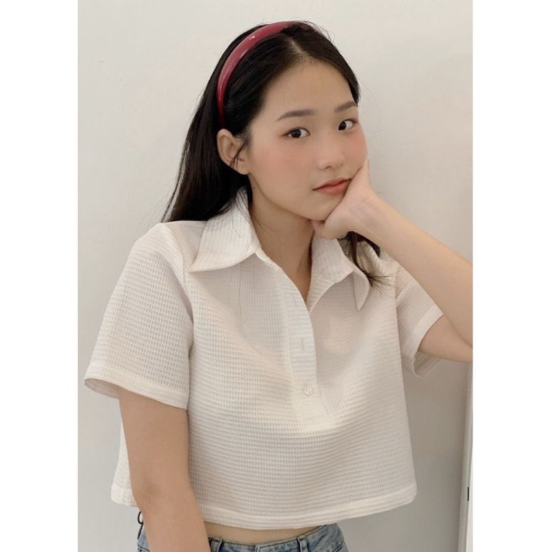 Áo polo croptop trắng zara xuất dư siêu xịn