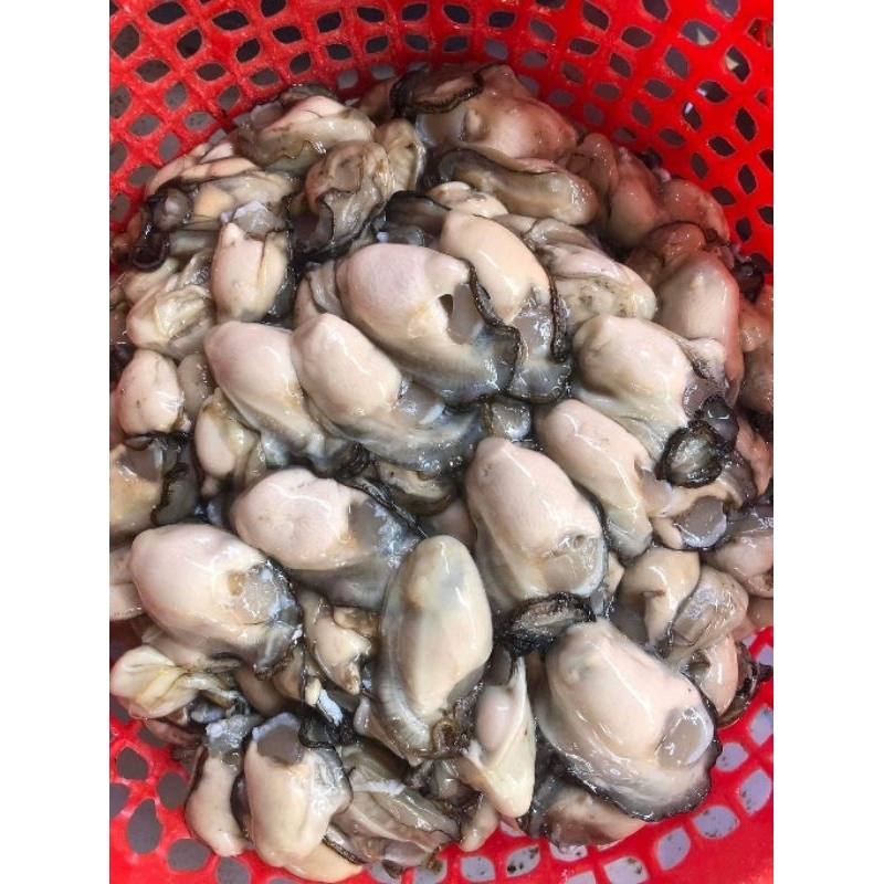 Ruột hàu tươi 99k 1kg ship Hà Nội