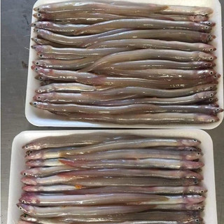 cá sụn sịn 500gr