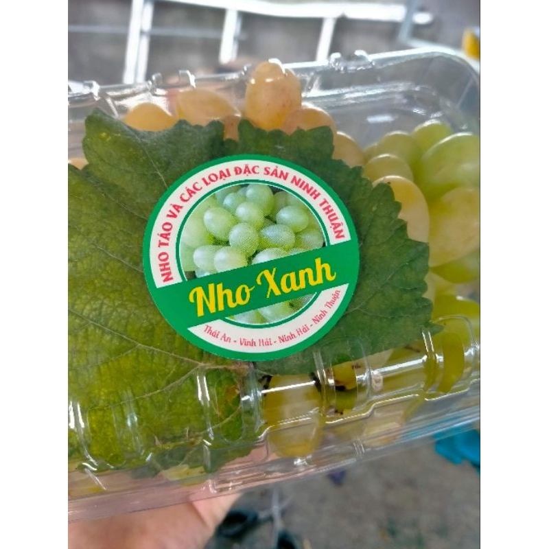 Nho xanh Ninh Thuận