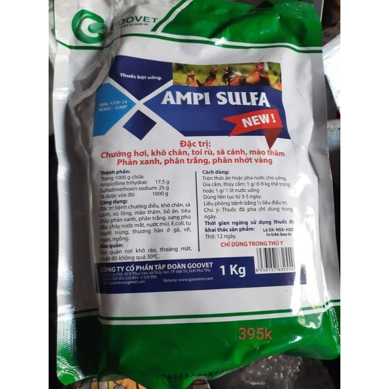 AMPI SULFA