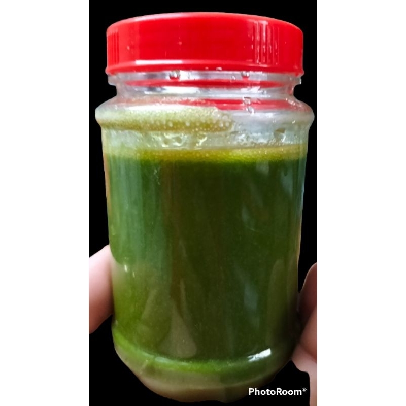 XỐT CHẤM LÁ É TƯƠI  BY MADE THỦY MỘC SHOP 81- Hũ 250g