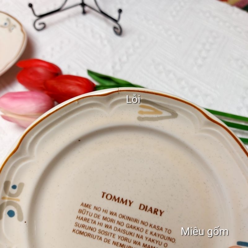 Dĩa nhật kí Tommy