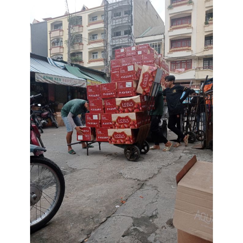 Táo Đỏ Tân Cương Thùng