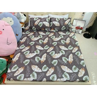 [SALES] SET 3 MÓN GA (DRAP) + GỐI POLY COTTON TRƠN 1M6, 1M8