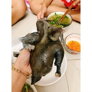 79k Gà Ác Ôm Trứng Non(Hỏa Tốc Tp HCM)