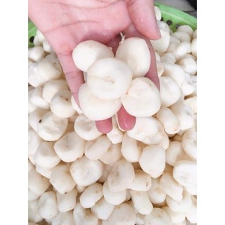 Củ mã thầy - củ năng tươi 1kg