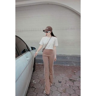 Áo thun croptop Cocobebe
