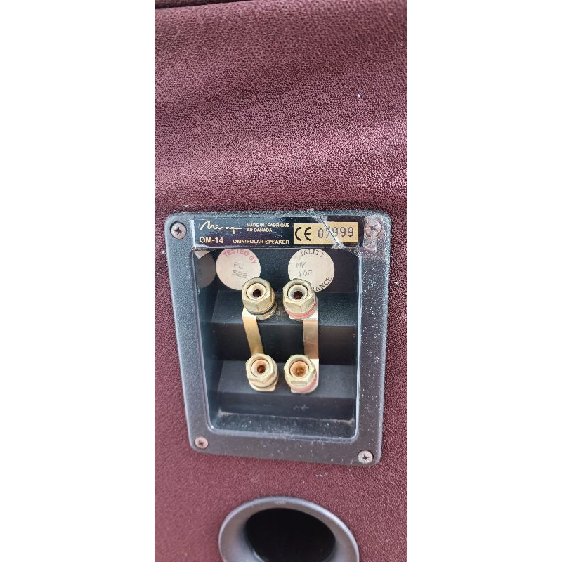 Đôi loa cột Canada bass đôi+ treble đôi 2 mặt.