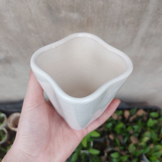 Chậu trồng cây: chậu vuông loe