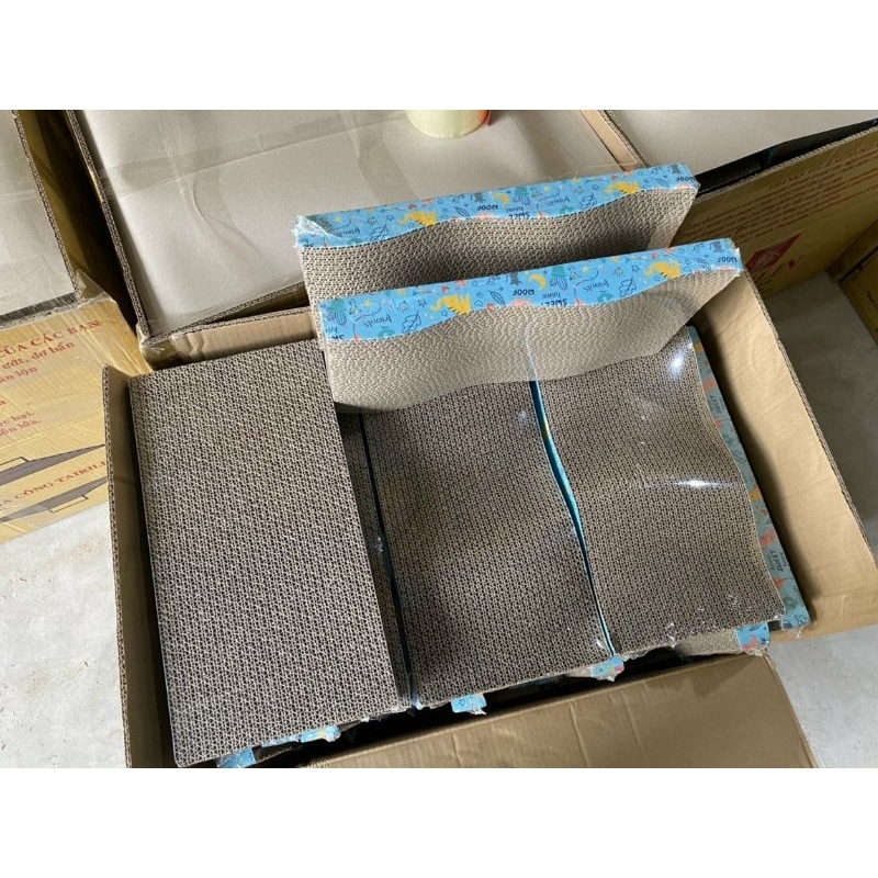 Bàn cào móng mèo