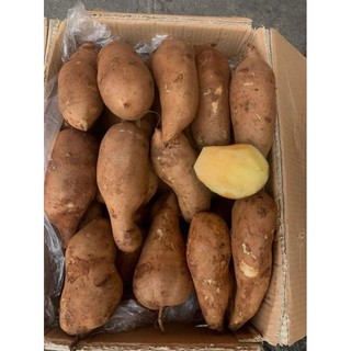 Combo 3Kg - Khoai Sâm Đất - Củ Sâm Đất - Có Thể Gọt Vỏ Ăn Liền