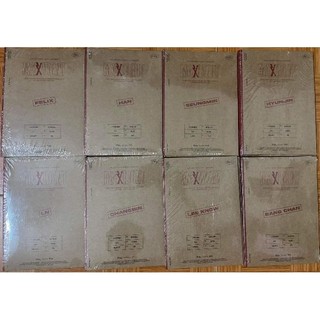 Album ảnh Stray Kids Maxident Case ver hàng mới nguyên seal có sẵn, được chọn ver