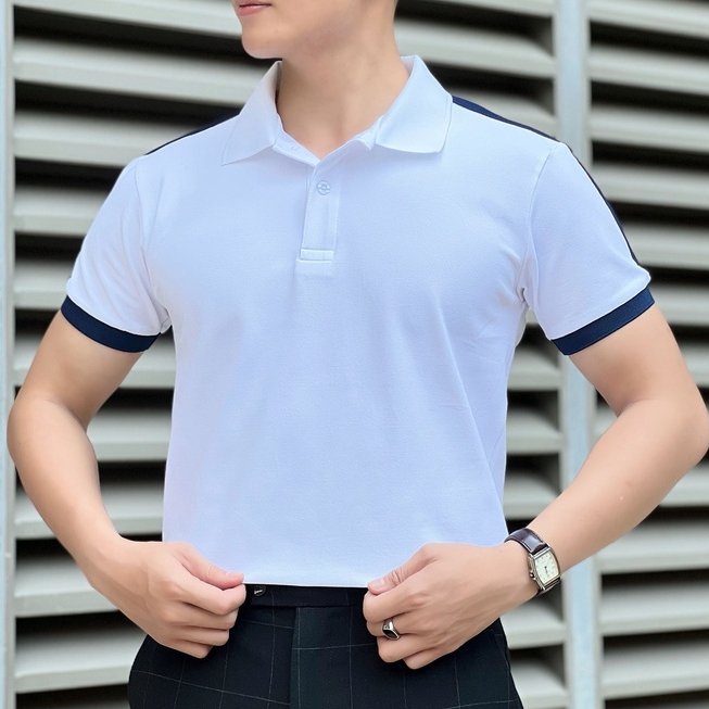 Áo polo nam tay ngắn cổ trụ chính hãng AREMI vải cotton cá sấu cao cấp thiết kế trẻ trung thanh lịch APL0009