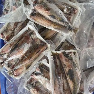 Cá nục 1 nắng khay 500g❤️Tmart- Thực phẩm sạch