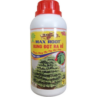 Max Root Bung Đọt Ra Rễ Mai Vàng 500ml