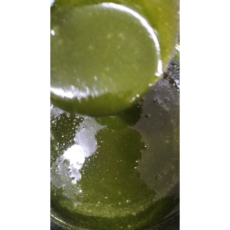 XỐT CHẤM LÁ É TƯƠI  BY MADE THỦY MỘC SHOP 81- Hũ 250g