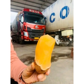 củ sâm đất