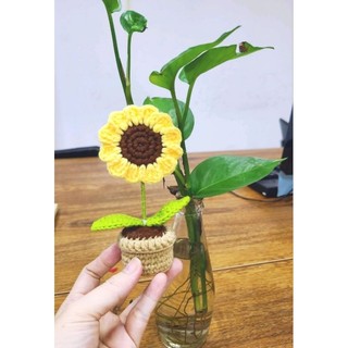 Chậu hoa hướng dương bằng len size 5cm *13cm