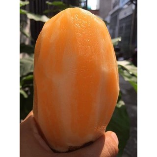 Củ sâm đất vùng cao tây bắc giá 1kg