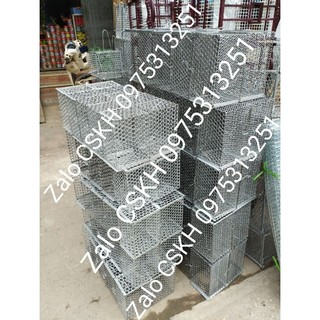 Các loại bẫy mèo chó chồn cáo nhím thỏ sóc động vật