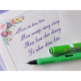 🌻 Bút luyện chữ đẹp Hoàng Ngọc T04  ngòi lá tre