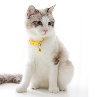 Vòng cổ hình chân thú cưng cute cho chó mèo