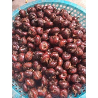 Củ mã thầy - củ năng tươi 1kg