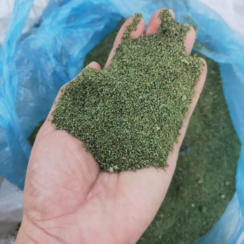 Nụ hoa tam thất 500g-1kg dạng tấm