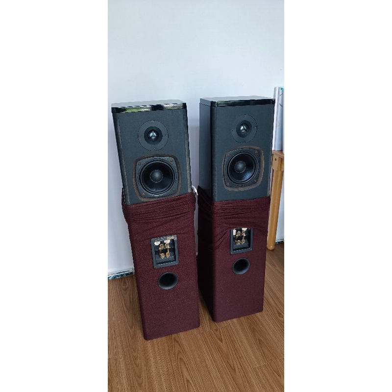 Đôi loa cột Canada bass đôi+ treble đôi 2 mặt.