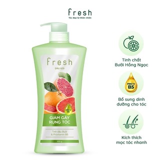 (1806) Dầu gội Fresh 650g