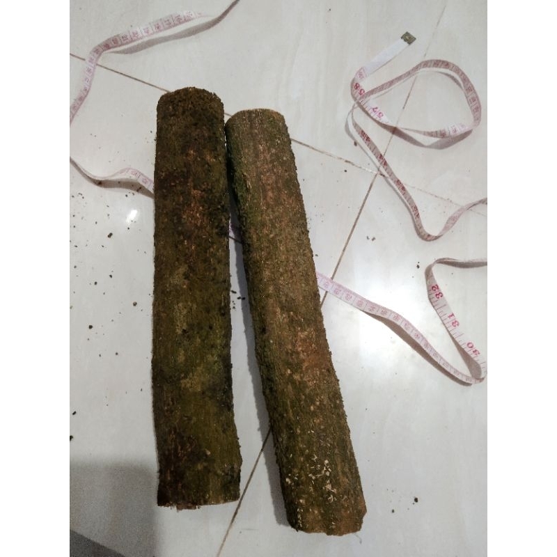 Gỗ nhản ghép lan