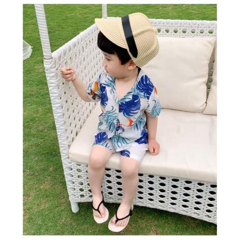 Bộ lanh hoa quả size 5-18kg