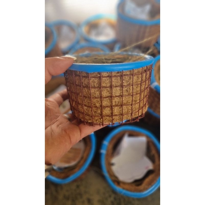 Tổ chim sinh sản vip pro max