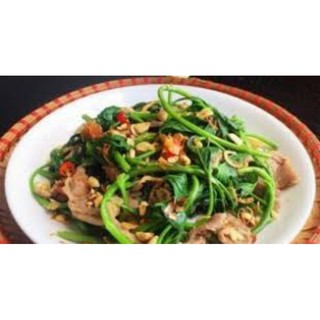 cây giống rau lang