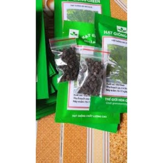 Gói 100 hạt giống hoa đu đủ đực