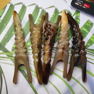 bọ cạp sừng