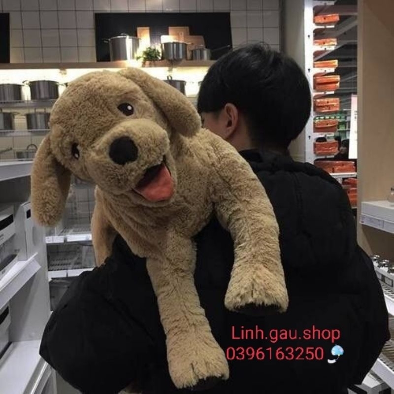 Chó bông Gold Ikea sale