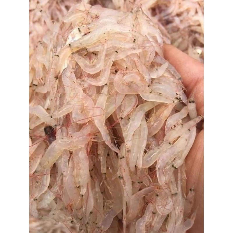 Tép biển tươi cấp đông
