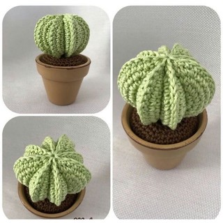 chậu hoa sương rồng len handmade