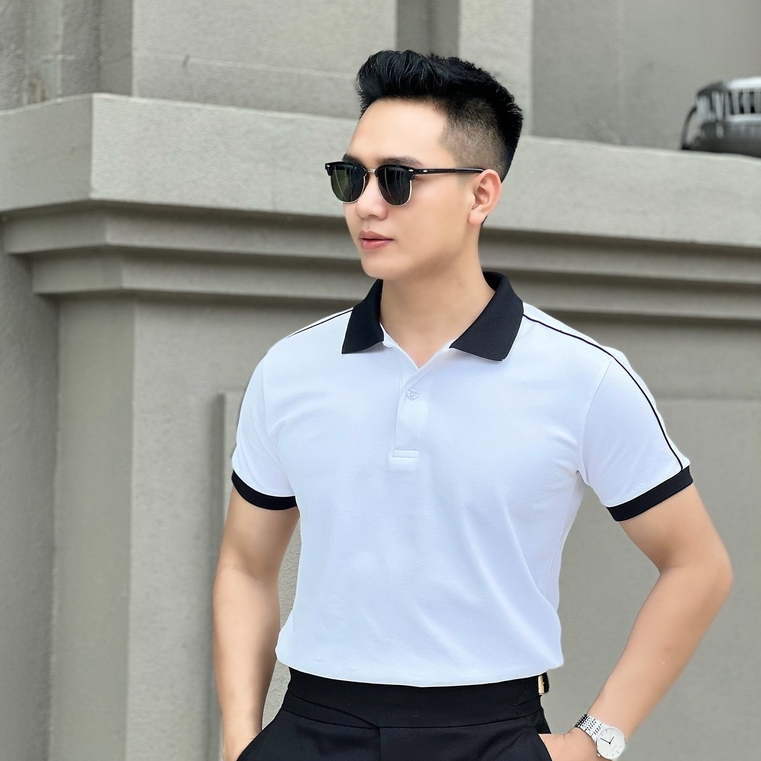 Áo polo nam tay ngắn cổ trụ AREMI vải cotton mềm mịn cao cấp thiết kế trẻ trung thanh lịch APL0005