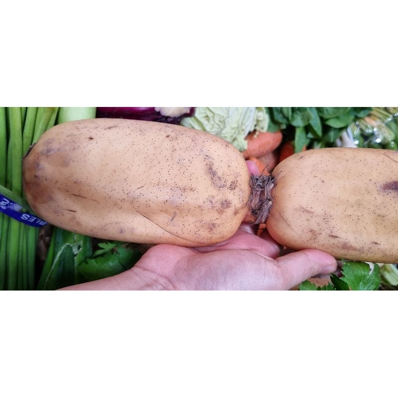 Củ sen (củ tầm 500gr)