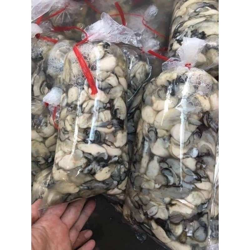 Ruột hàu tươi 99k 1kg ship Hà Nội