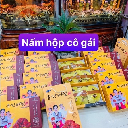 Nấm linh chi cô gái vàng Geumsang Samsung chính hãng túi 1kg không kẻ bao bì