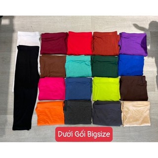 Legging Rainbow Lửng dưới gối Chuẩn Thái