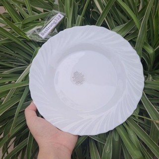 Dĩa Pastel Nhám Gốm Thuỷ Tinh Xoắn Vành